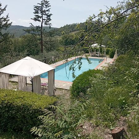 Casa Degli Ulivi - Cottage With Swimming Pool Castellina in Chianti Exterior foto
