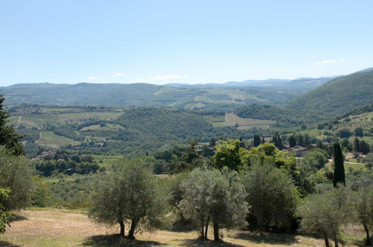 Casa Degli Ulivi - Cottage With Swimming Pool Castellina in Chianti Exterior foto