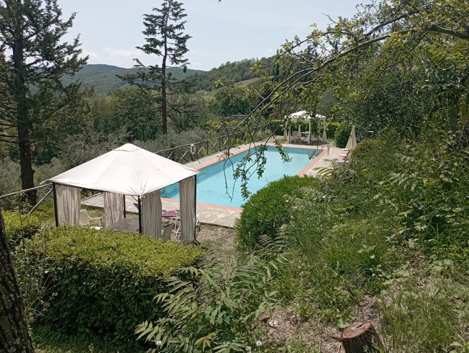 Casa Degli Ulivi - Cottage With Swimming Pool Castellina in Chianti Exterior foto