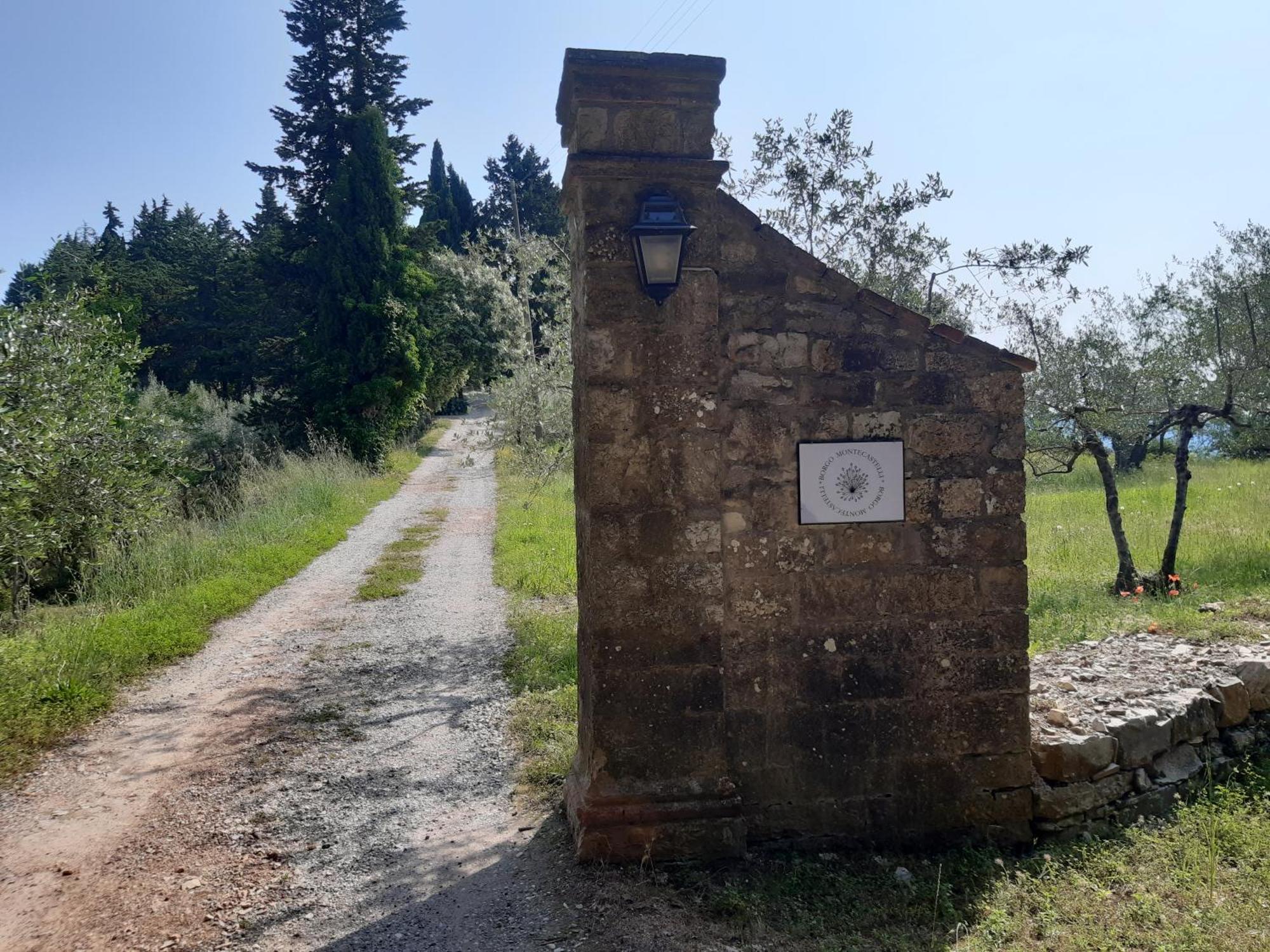 Casa Degli Ulivi - Cottage With Swimming Pool Castellina in Chianti Exterior foto