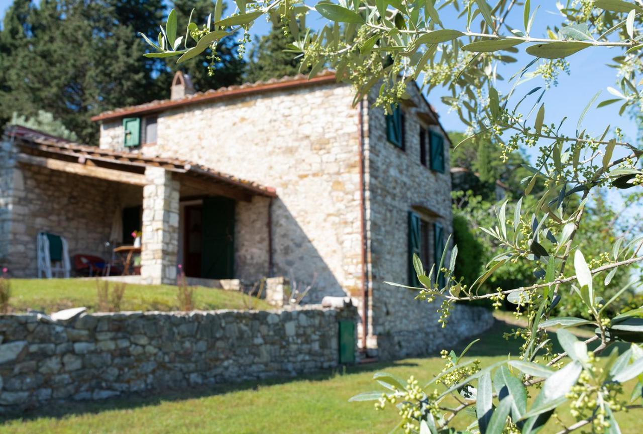 Casa Degli Ulivi - Cottage With Swimming Pool Castellina in Chianti Exterior foto
