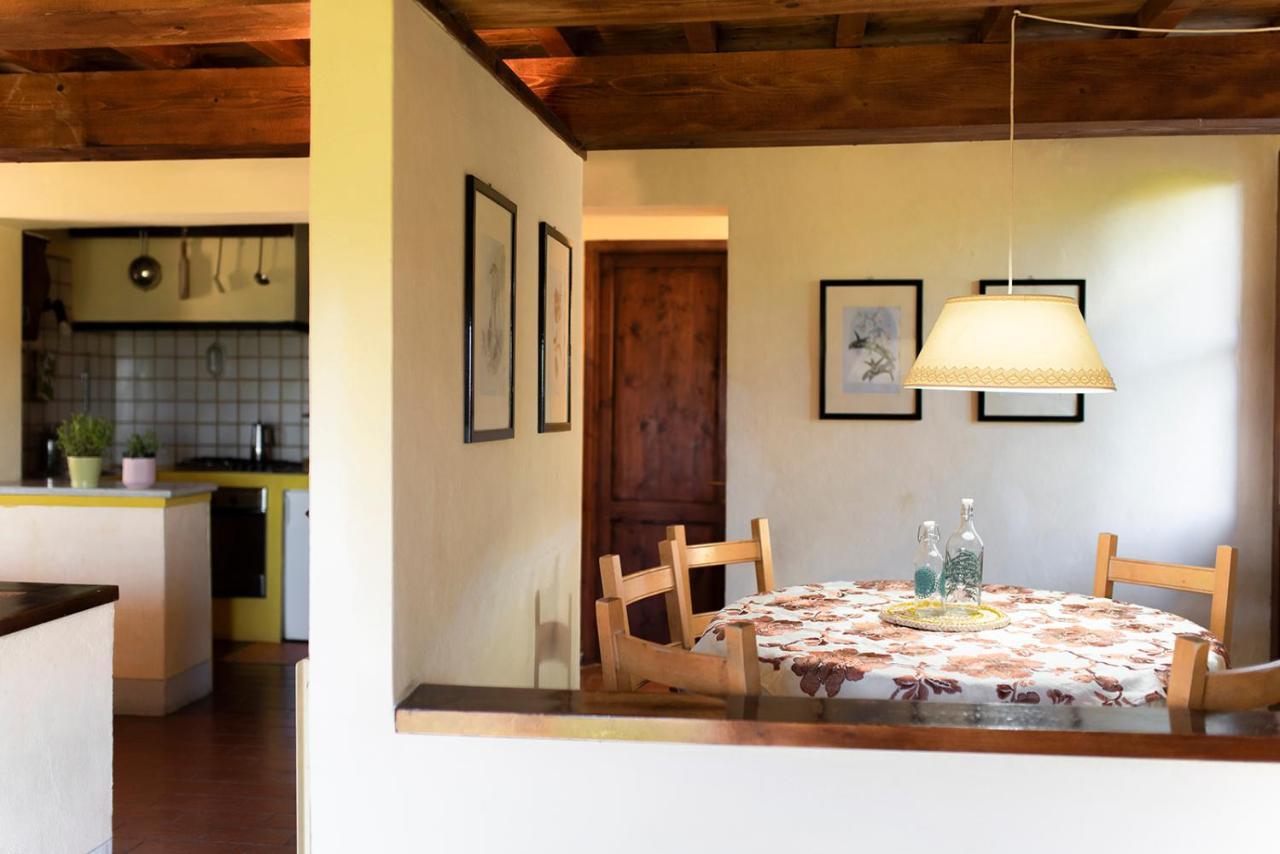 Casa Degli Ulivi - Cottage With Swimming Pool Castellina in Chianti Exterior foto